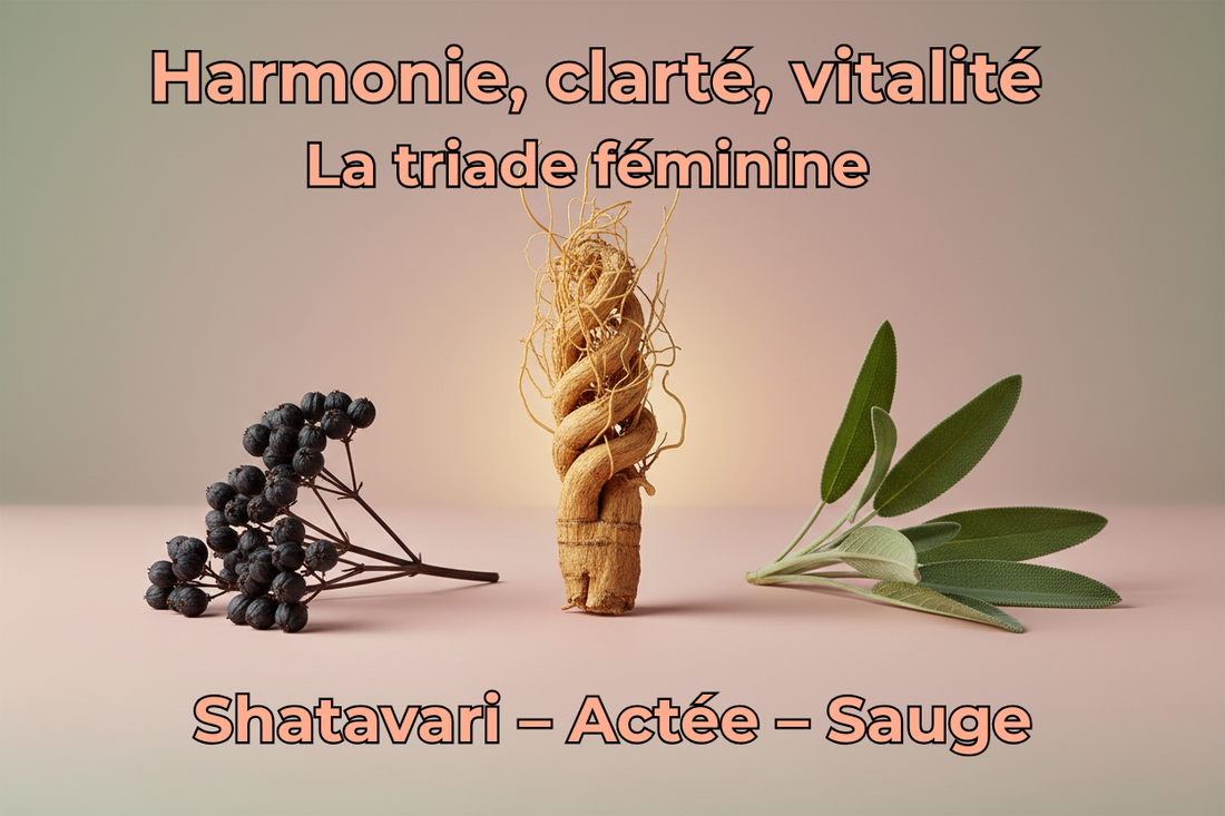 🌸 Le voyage sacré de ton équilibre féminin : Shatavari, Actée & Sauge